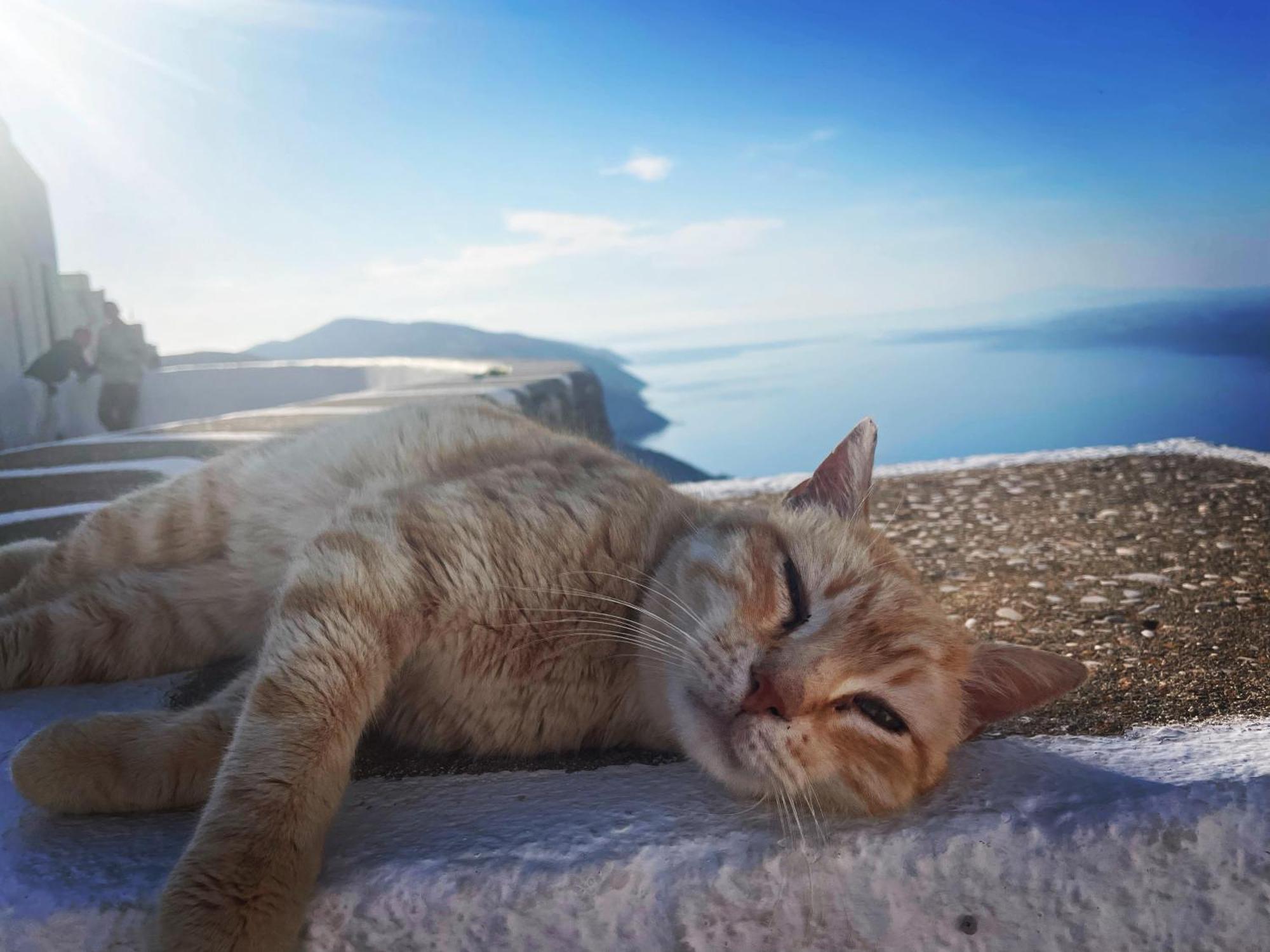 Folegandros-Cliffhouse别墅 外观 照片