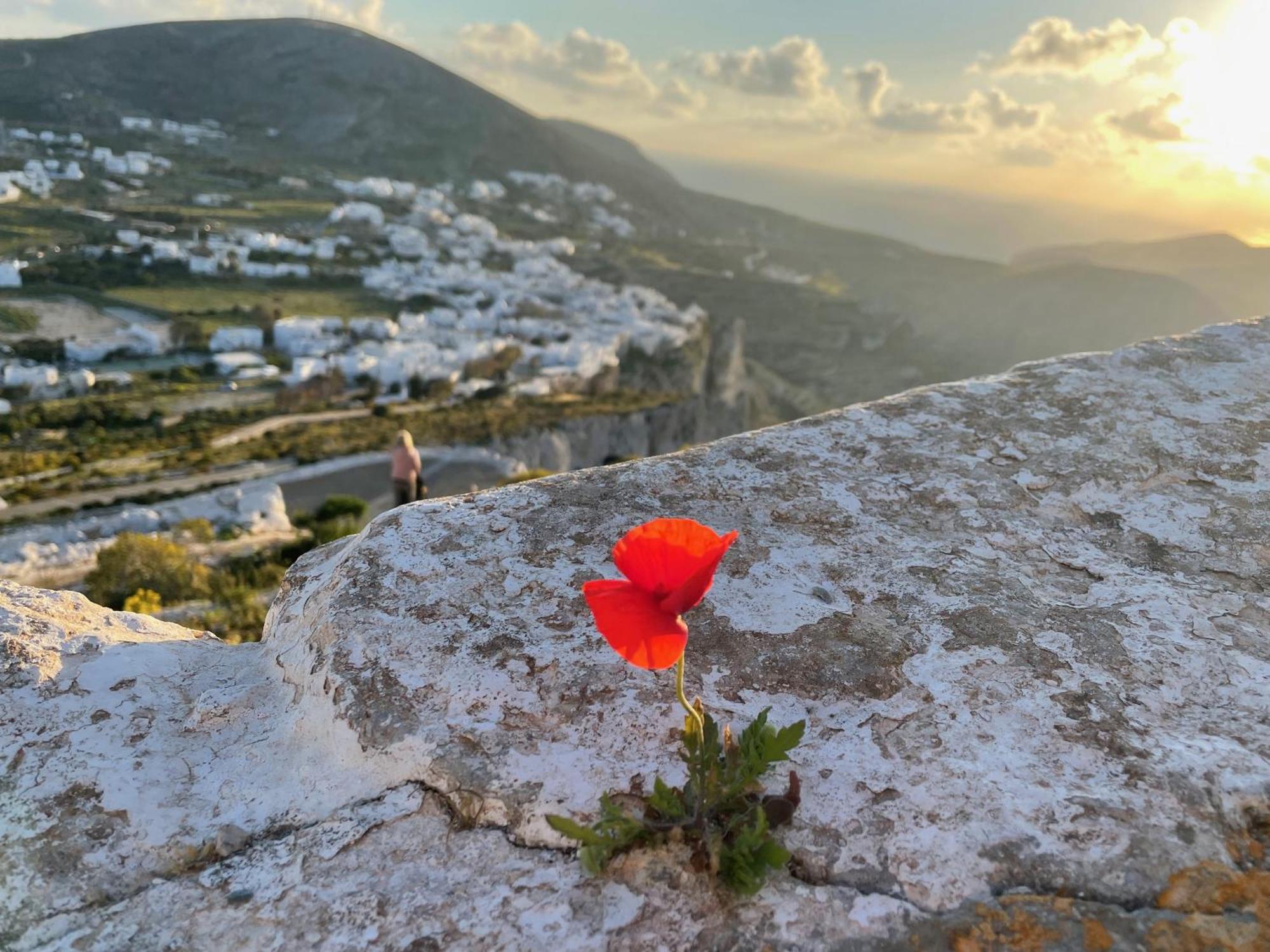 Folegandros-Cliffhouse别墅 外观 照片